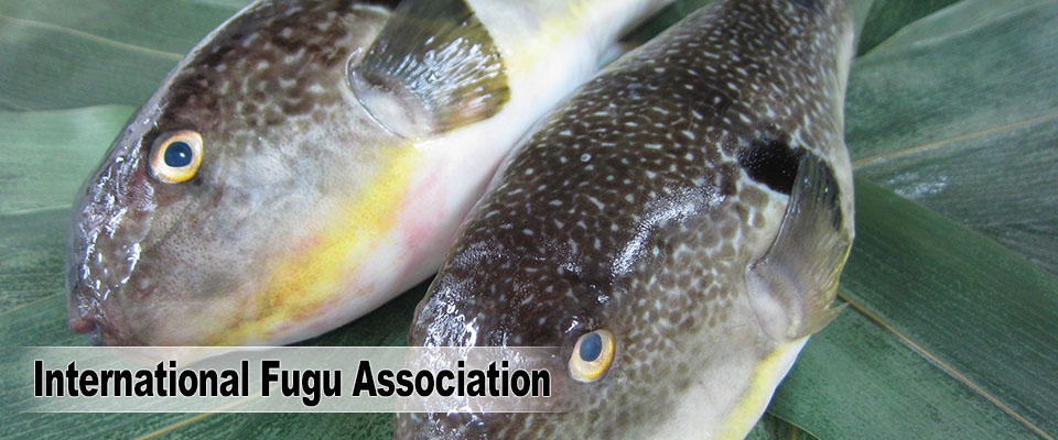 International Fugu Association