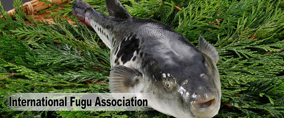 International Fugu Association
