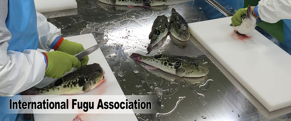 International Fugu Association