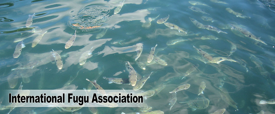 International Fugu Association